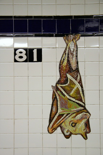 81 Street Station in New York, New York