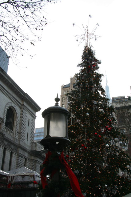 Bryant Park Christmas Tree in New York, New York