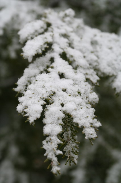 Snow in Highlands in Highlands, North Carolina