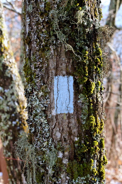 Trail Marker in Highlands, North Carolina