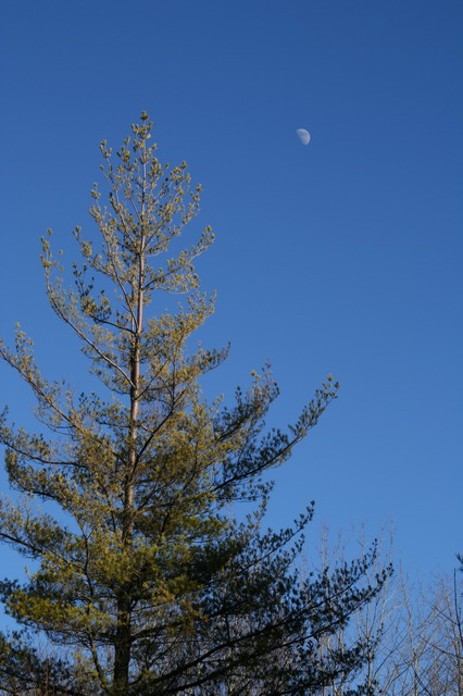 Early Moon in Highlands, North Carolina