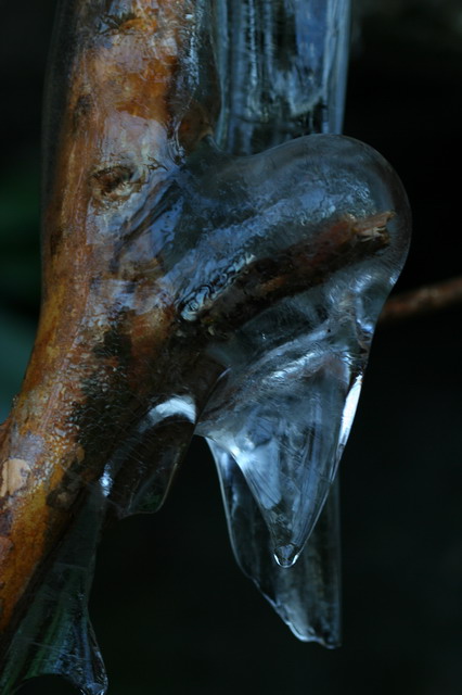 Cold Branch in Highlands, North Carolina