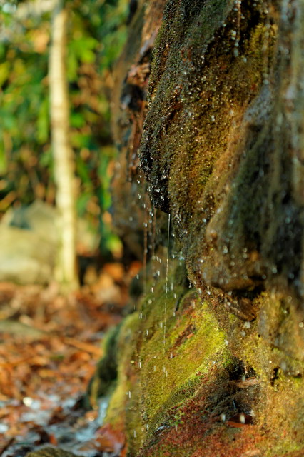 Wet Rock in Highlands, North Carolina