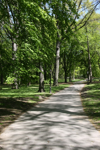 Central Park Path in New York, New York
