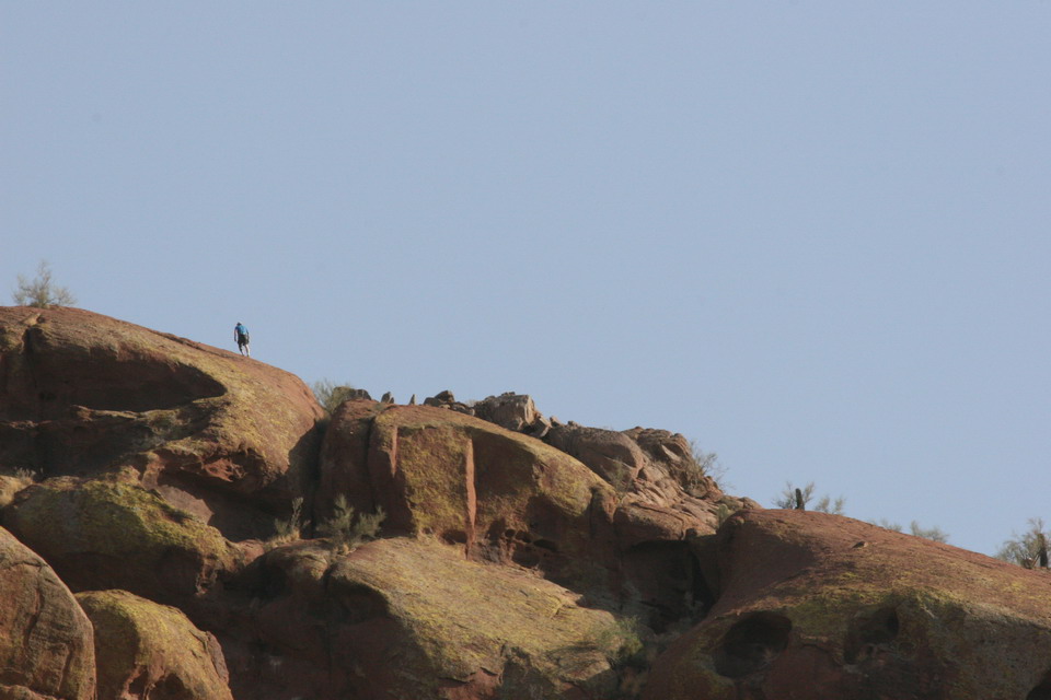 Man on a Camel in Phoenix, Arizona