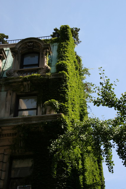 Ivy Takes Building in New York, New York