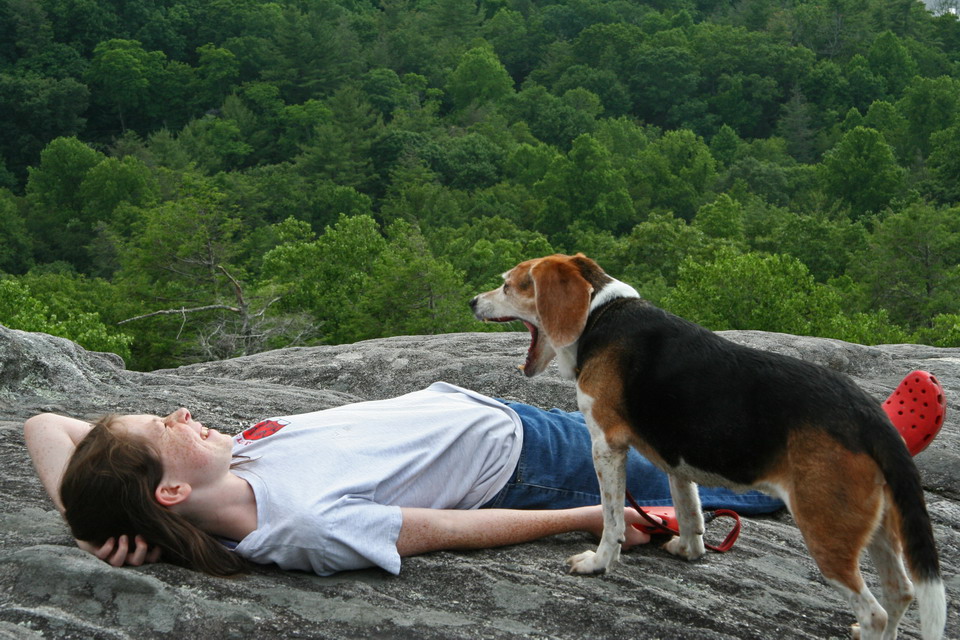 Sleepy in Highlands, North Carolina