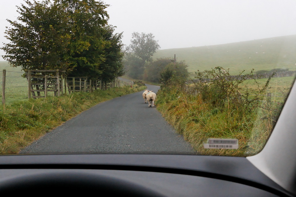 Sharing the Road in Yorkshire Dales, England
