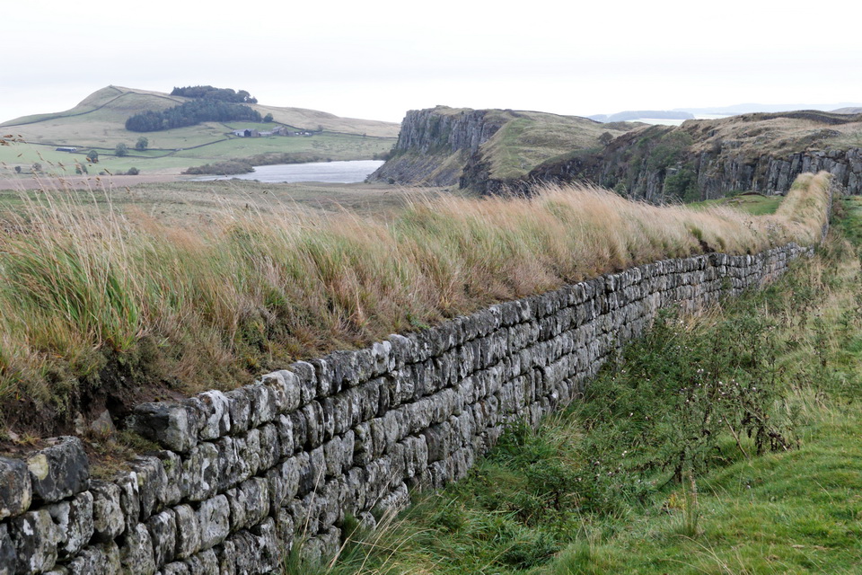 Wall with Hair in Hadrians Wall, England