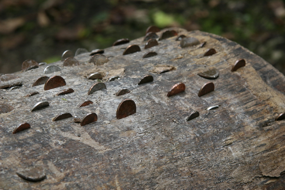 Coin Log in Yorkshire Dales, England