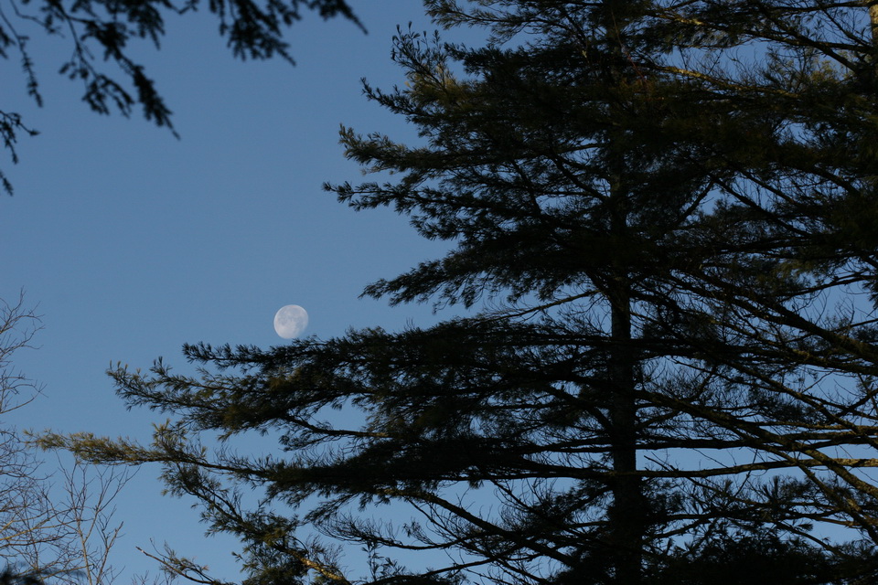 Winter Moon in Highlands, North Carolina