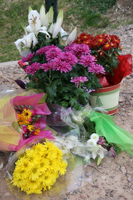 Roadside Tribute in Scottsdale, Arizona