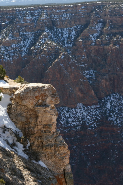 Snow Dusted in Grand Canyon, Arizona
