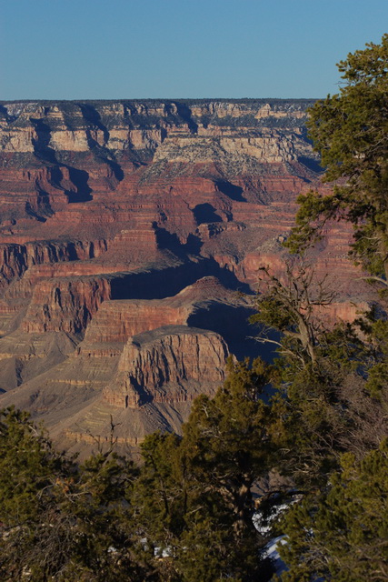 Grand Canyon Postcard in Grand Canyon, Arizona