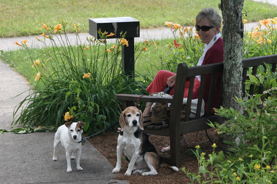 Mom and Pups in Highlands, North Carolina