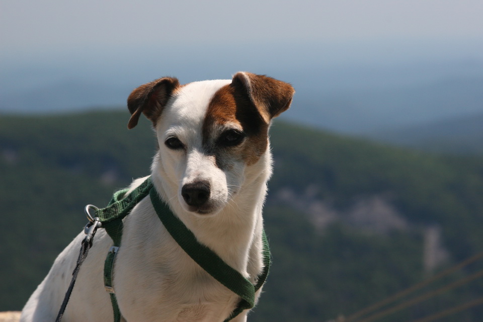 On Top of the World in Highlands, North Carolina