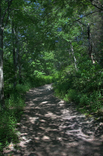 Mountain Trail in Highlands, North Carolina