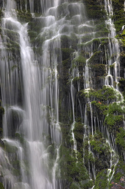 Falling Water and Moss in Highlands, North Carolina