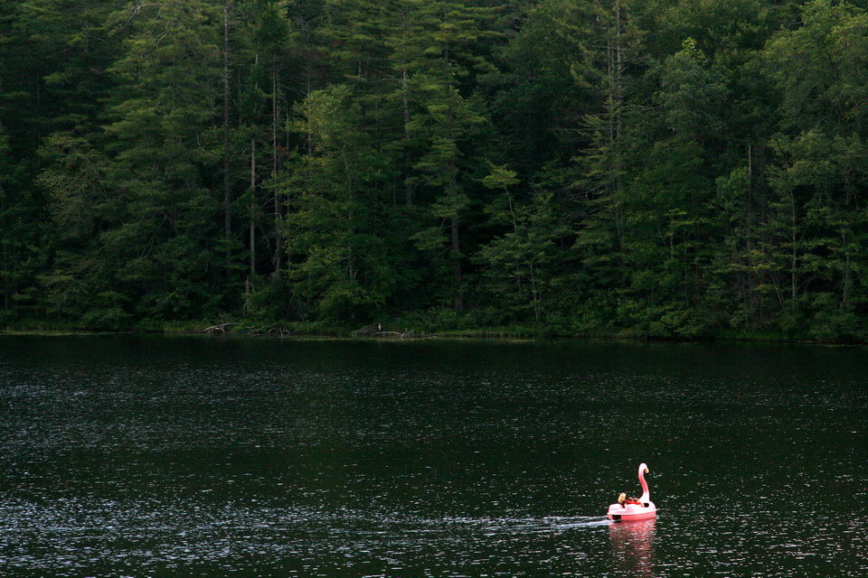 Pink Swan in Highlands, North Carolina