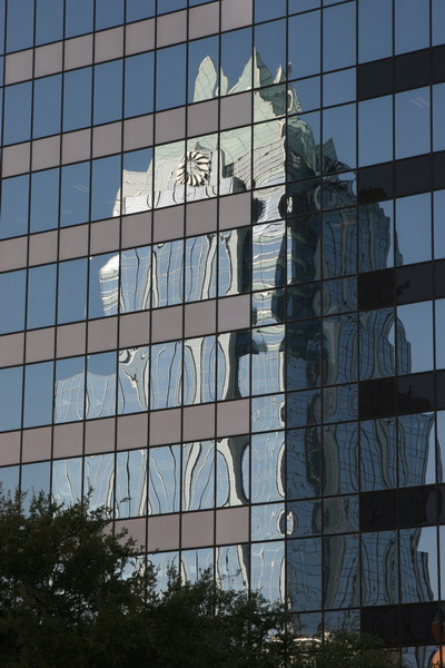 Frost Reflection in Austin, Texas