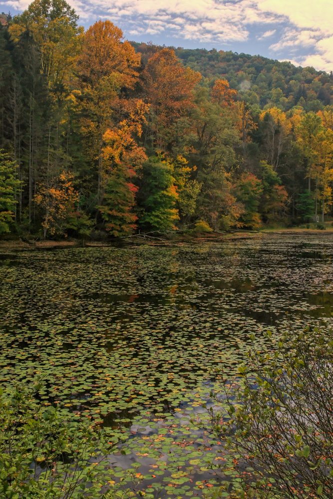 Lilly Pad Pond in Highlands, North Carolina