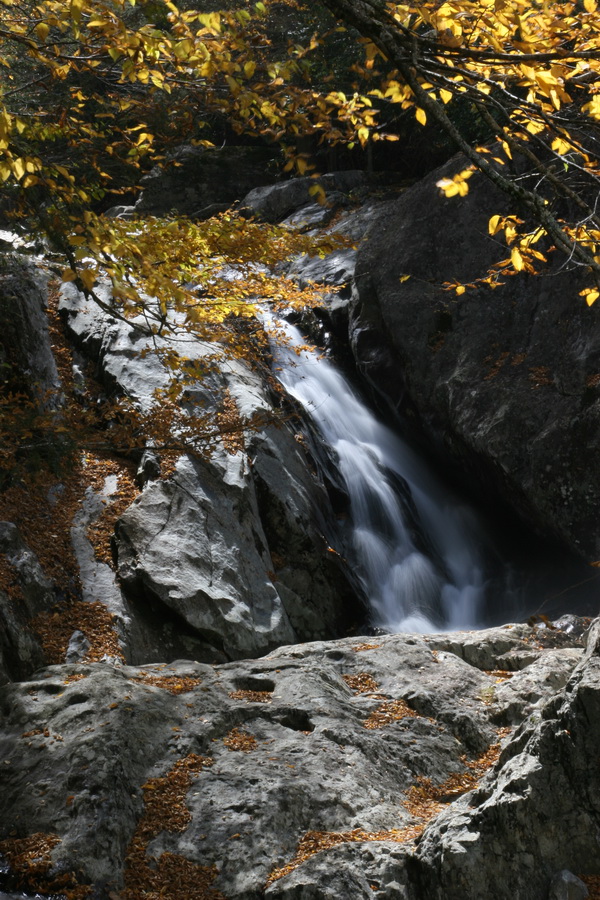 Golden Stream in Highlands, North Carolina