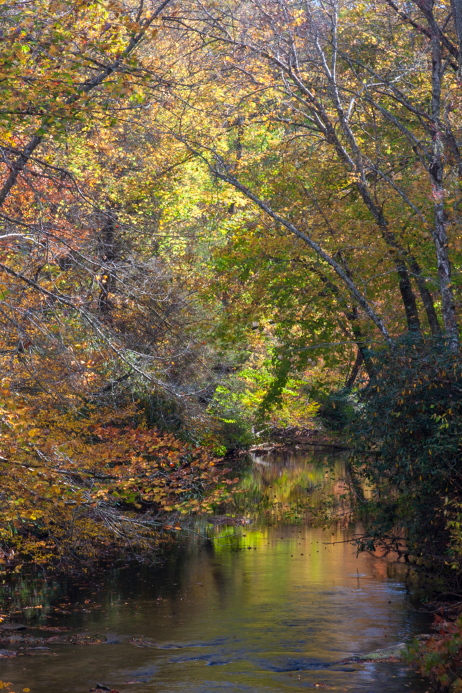 Quite Stream in Highlands, North Carolina