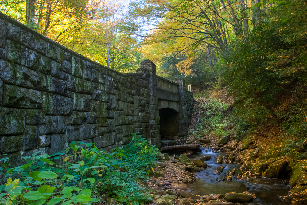 Forest Bridge in Brevard, North Carolina