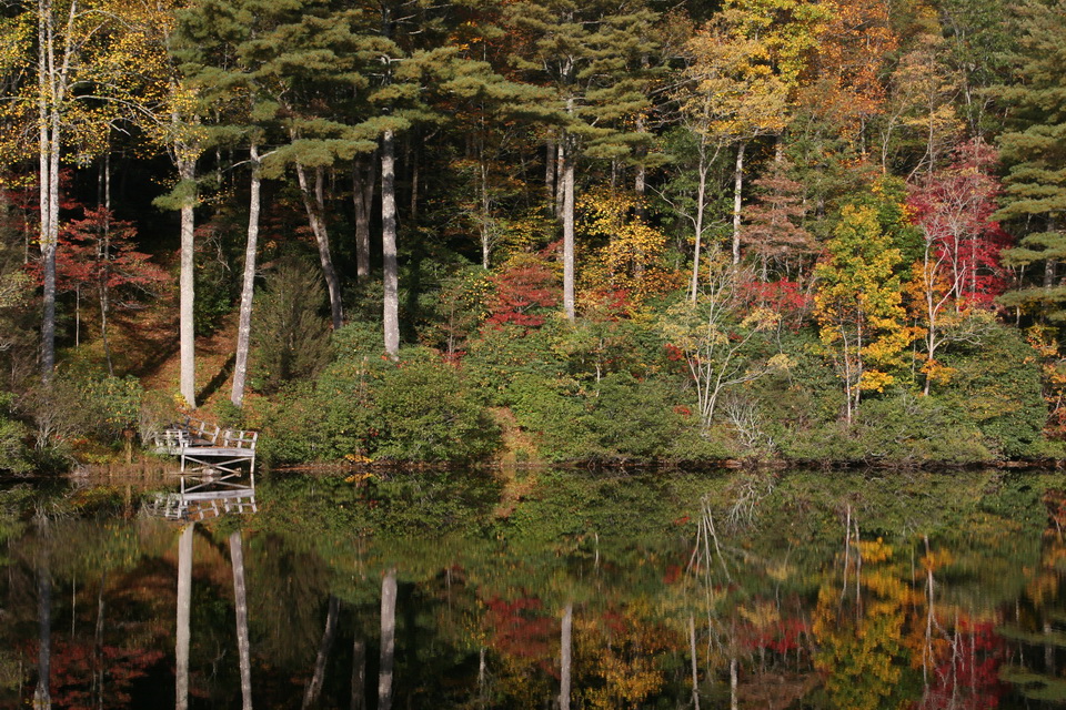 White Trunks in Highlands, North Carolina