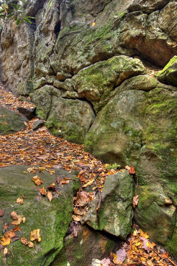 Forest Rocks in Highlands, North Carolina