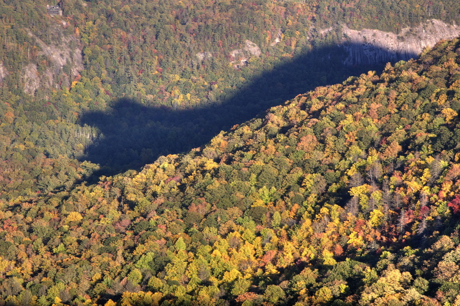 The Bear in Highlands, North Carolina