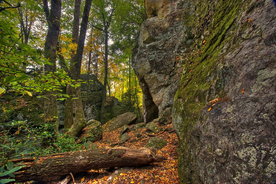 Into The Woods in Highlands, North Carolina