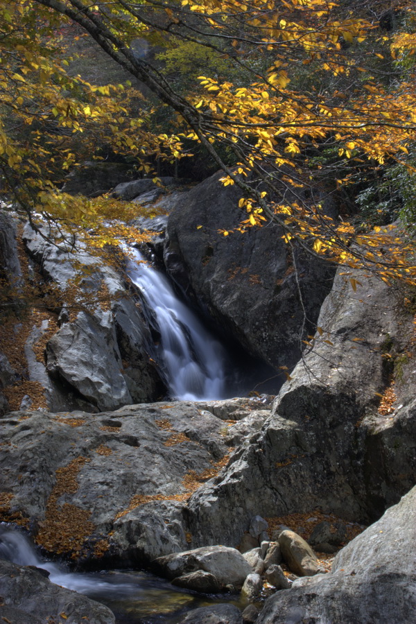 Rock Stream in Highlands, North Carolina