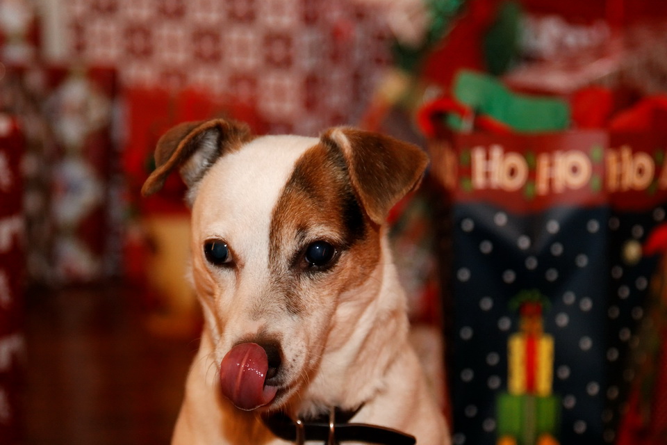 Christmas Treat in Highlands, North Carolina