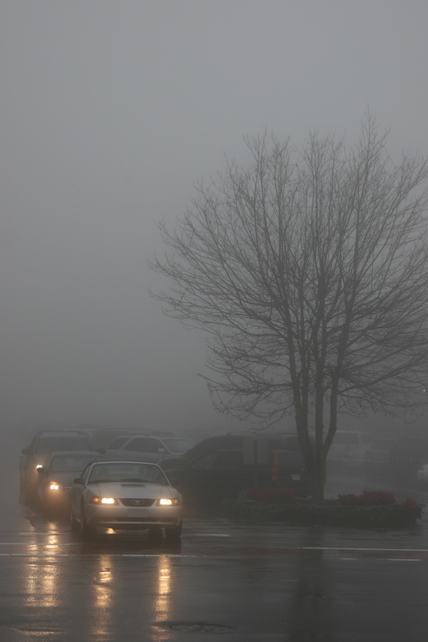 Winter Fog in Highlands, North Carolina