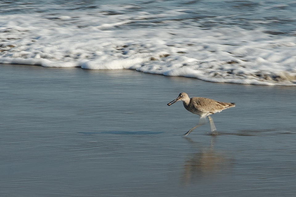 Surf Runner in Santa Barbara, California