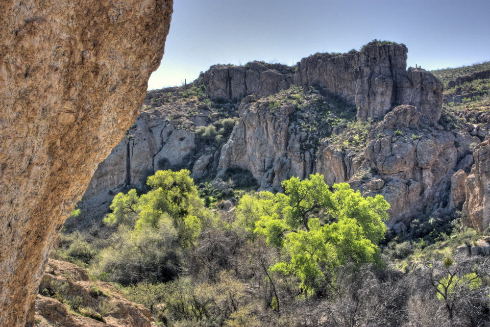 A Splash of Green in Superior, Arizona