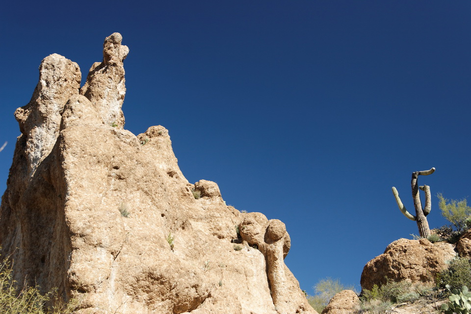 Funny Rock and Saguaro in Superior, Arizona