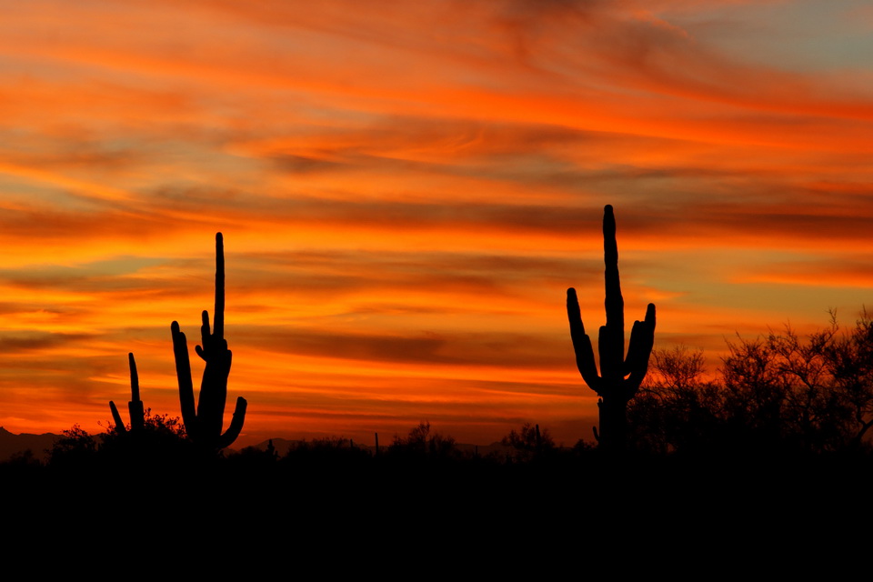 Desert Sunset in Apache Junction, Arizona
