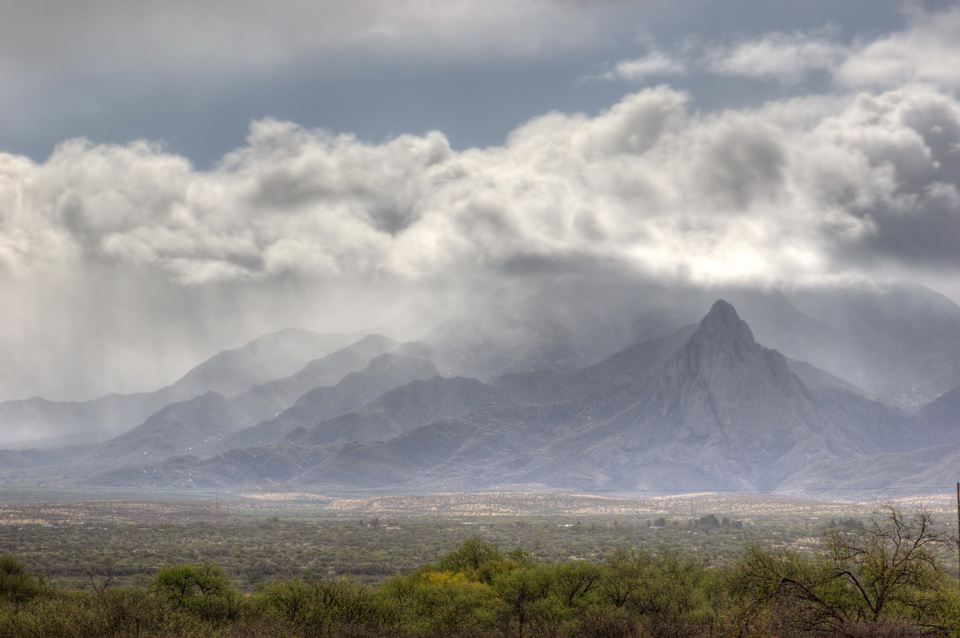 Elephant Head in Tucson, Arizona