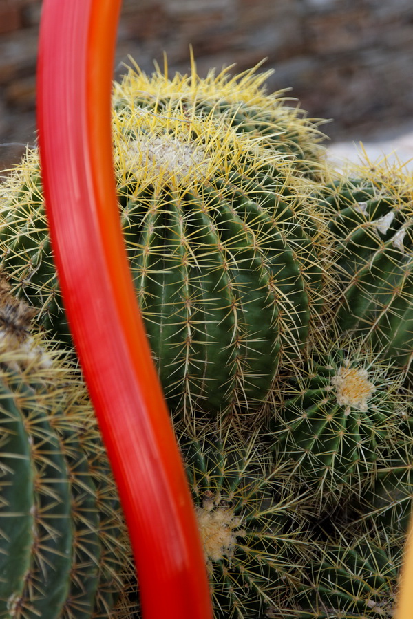 Contrast in Phoenix, Arizona