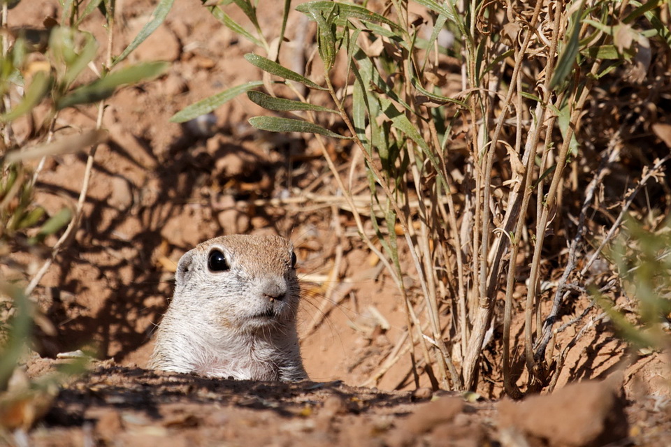 Looking for Me? in Paradise Valley, Arizona