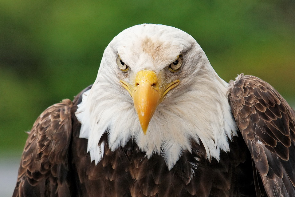 Don't Mess with Me in Highlands, North Carolina