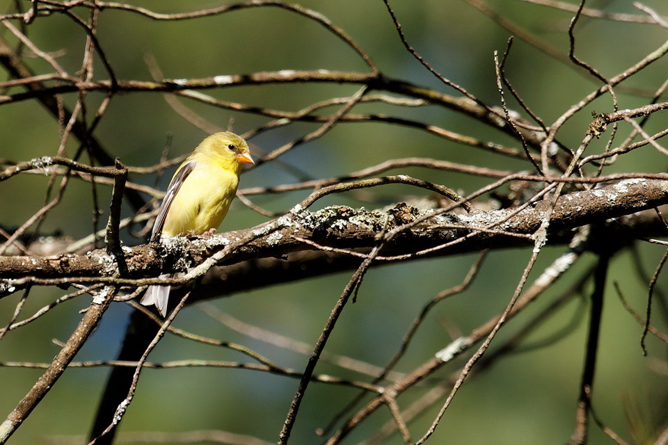 From High Above in Highlands, North Carolina