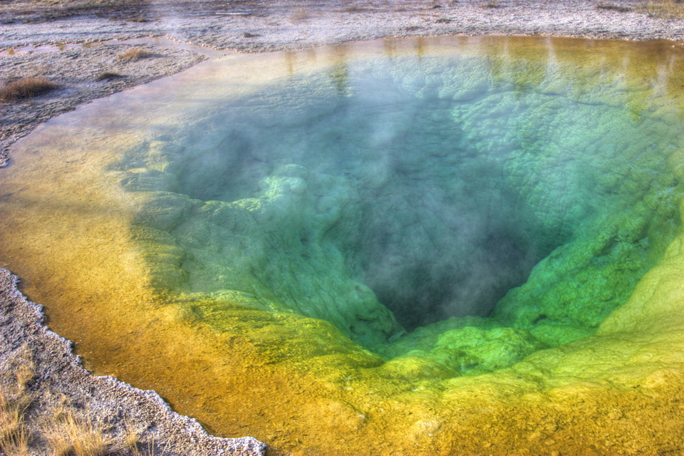 Colorful Bacteria in Yellowstone National Park, Wyoming