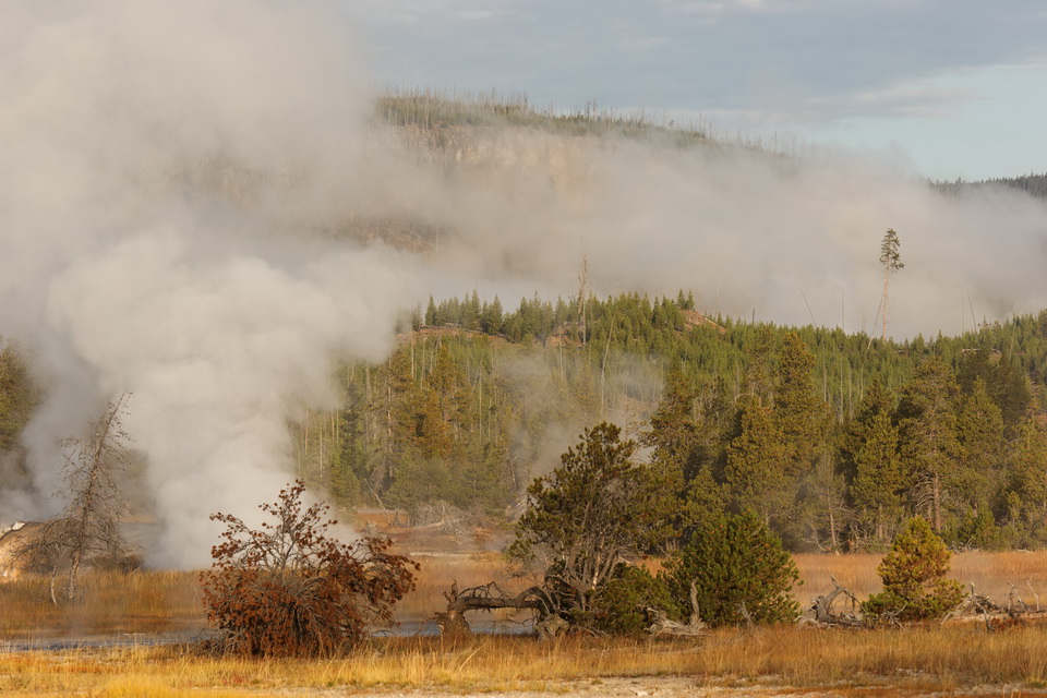 Steam in the Valley in Yellowstone National Park, Wyoming