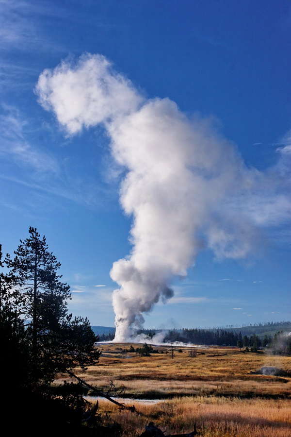From a Distance in Yellowstone National Park, Wyoming