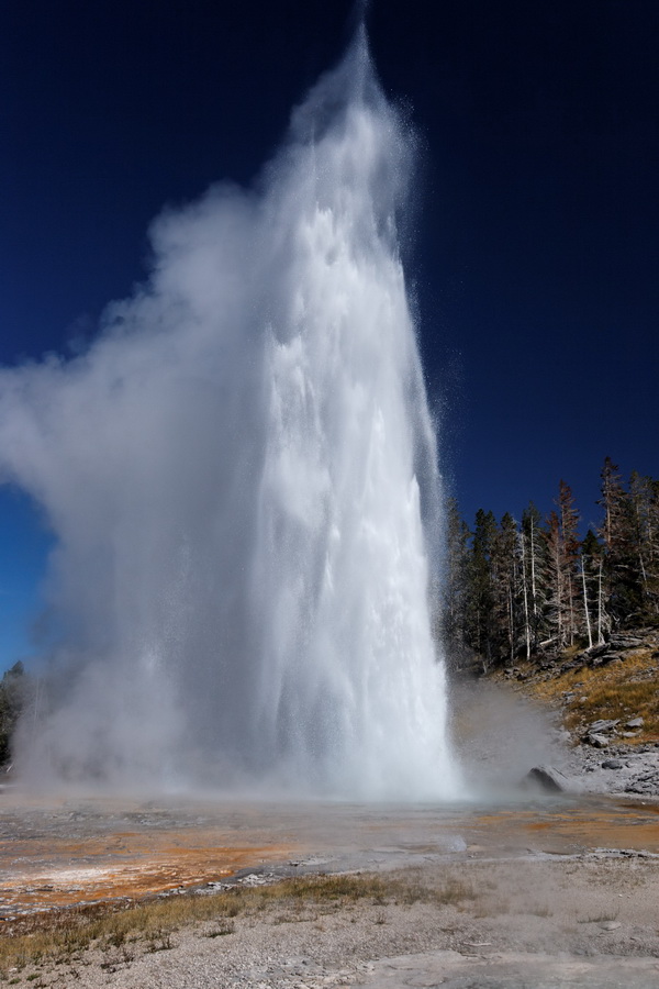 Grand Geyser in Yellowstone National Park, Wyoming