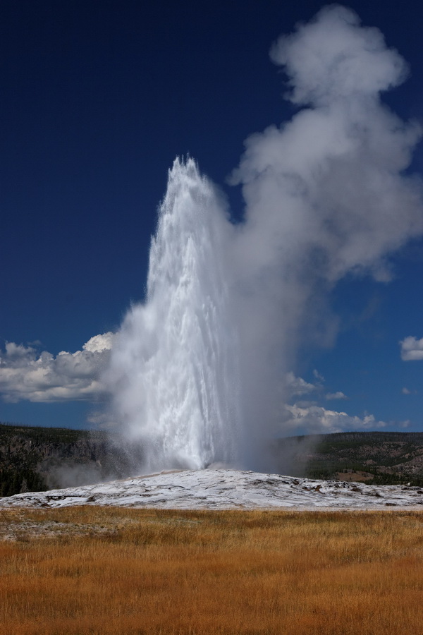 Skyward in Yellowstone National Park, Wyoming