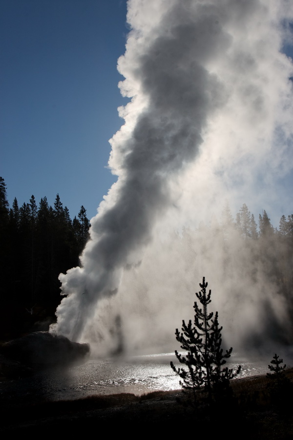 Riverside in Yellowstone National Park, Wyoming